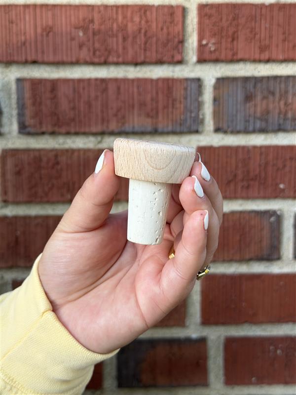 Cork Bottle Stopper