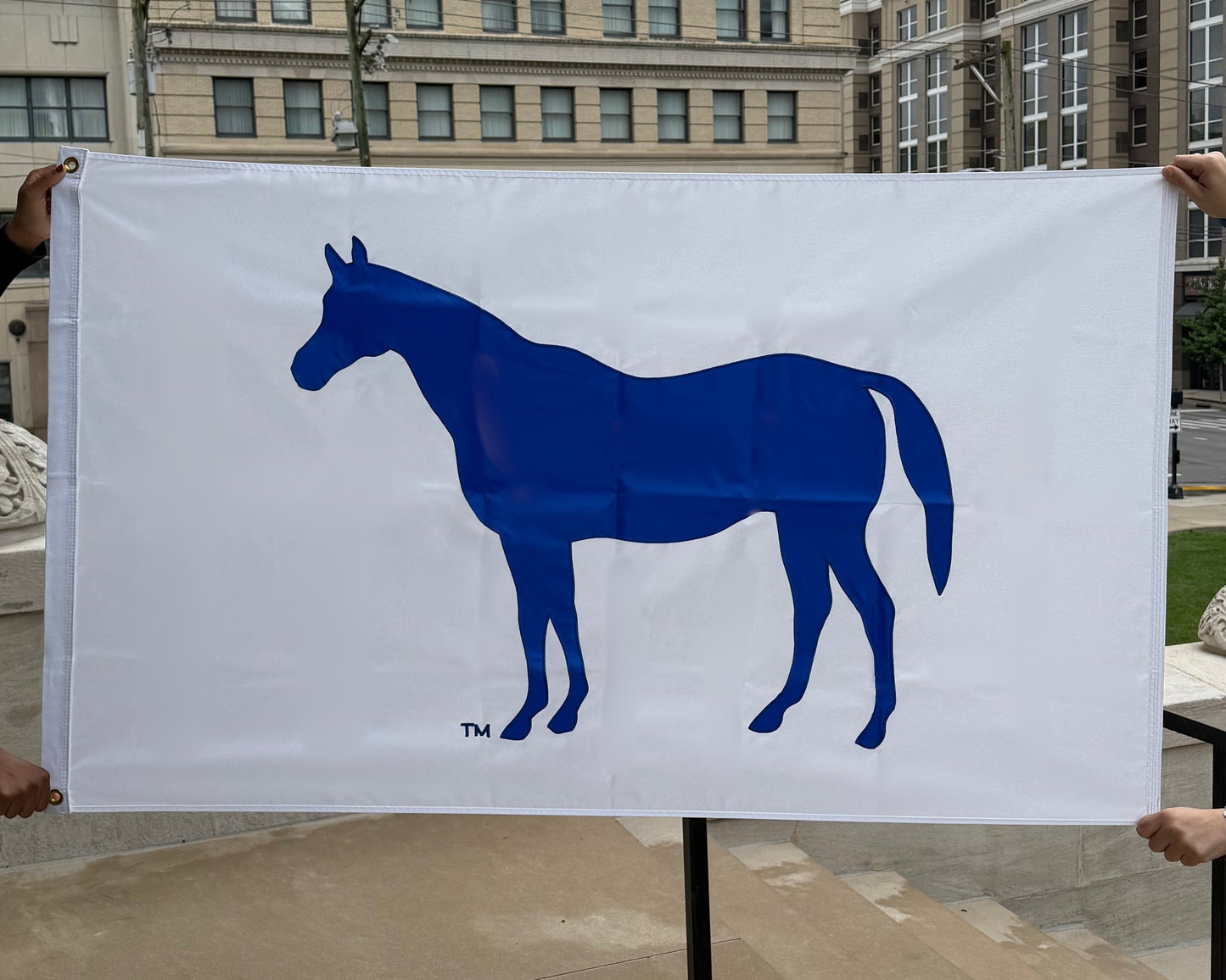 Large Flag