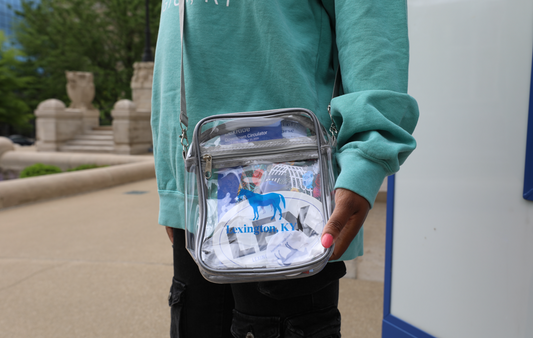 Fit for a Stadium (Clear) Bag