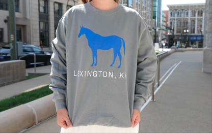 Comfy Blue Horse Sweatshirt