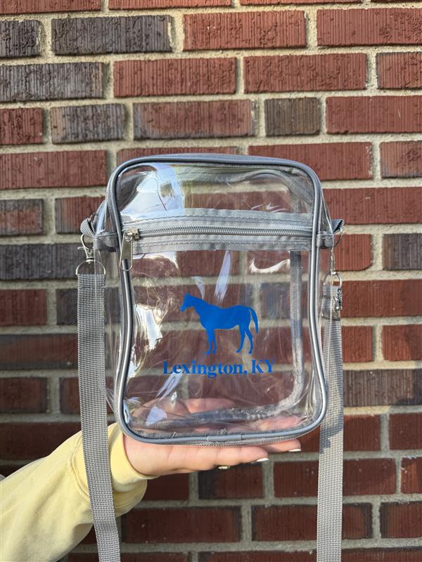 Fit for a Stadium (Clear) Bag