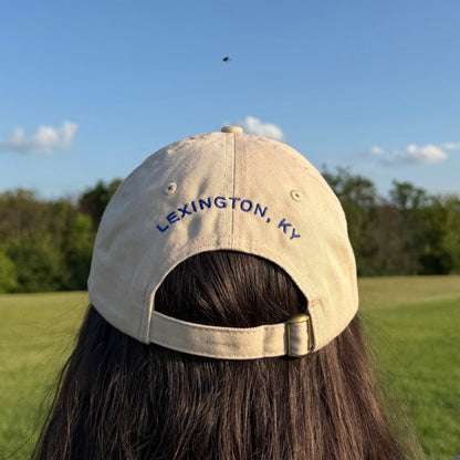 American Flag Horse Hat