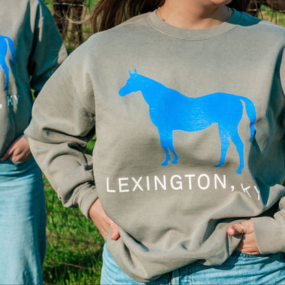 Comfy Blue Horse Sweatshirt