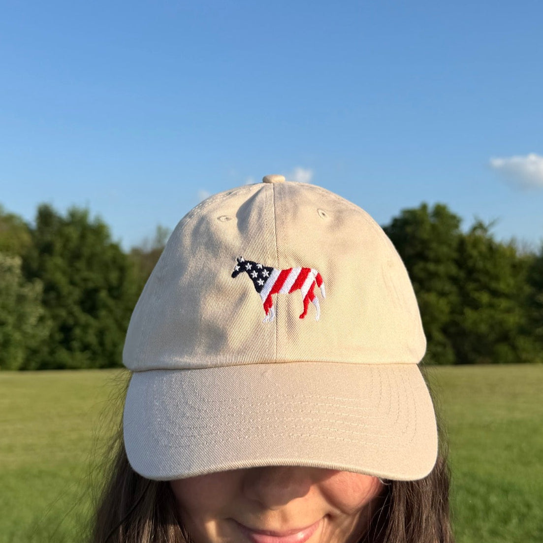 American Flag Horse Hat