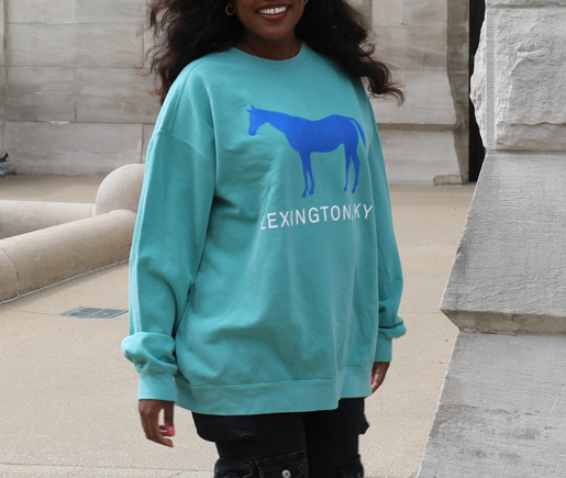 Comfy Blue Horse Sweatshirt