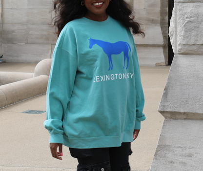 Comfy Blue Horse Sweatshirt