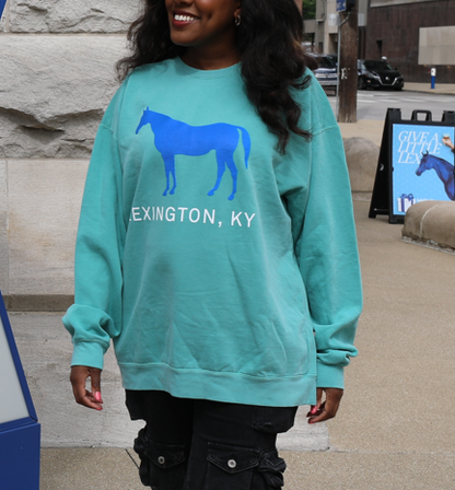 Comfy Blue Horse Sweatshirt
