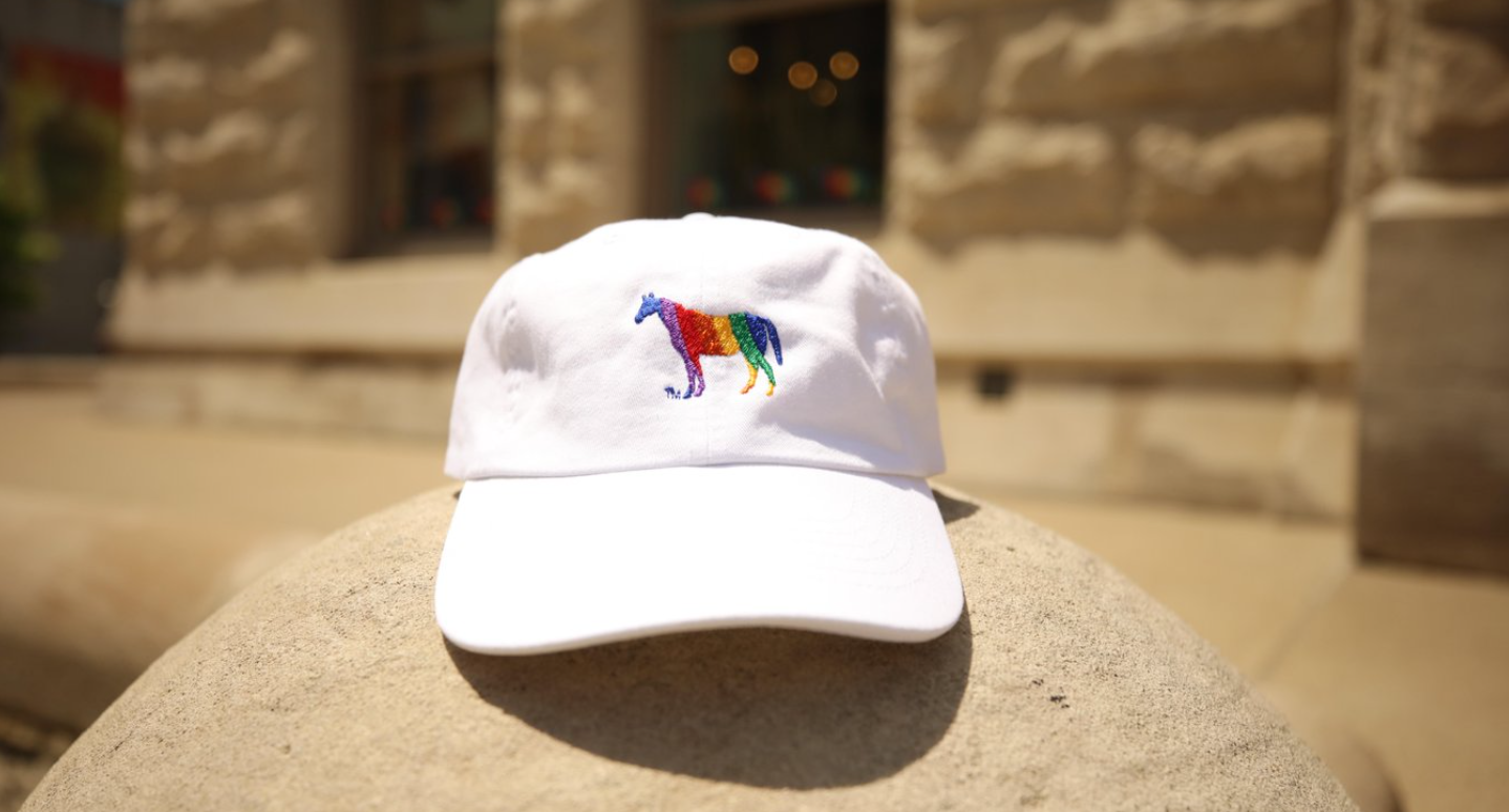 Rainbow Horse Dad Hat